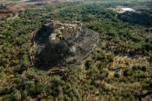 4,000-year-old town discovered hidden in Arabian oasis