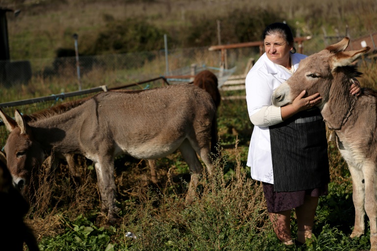 'Taste of love': Donkey milk cheese meets success in Albania