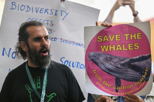 Big guns descend on Cali for final push in UN biodiversity talks