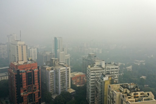 India's capital shuts schools because of smog