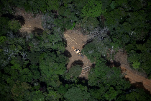 Brazil's Amazon posts lowest deforestation in nine years: govt