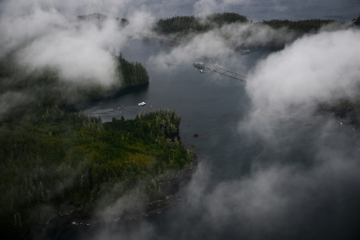 Canada marine protection plan aims to serve as global model