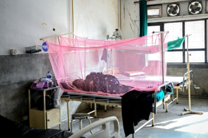 Climate shifts and urbanisation drive Nepal dengue surge.jpg