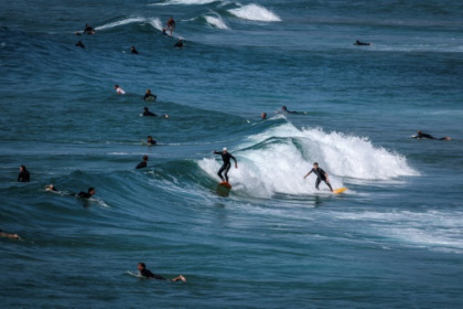 Surfboards with bright lights could deter shark attacks - researchers.jpg