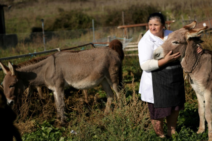 Fatiko Basha and her husband Veiz use donkey milk to make cheese, curd and whey