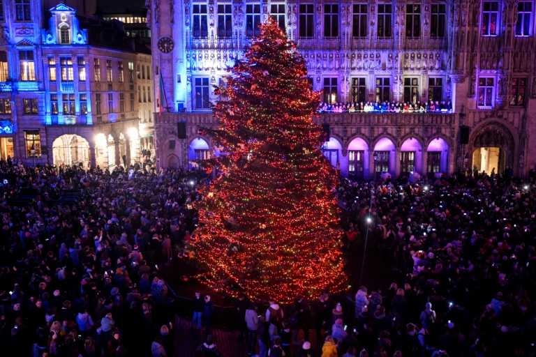 Don't eat your Christmas tree, warns Belgium food agency