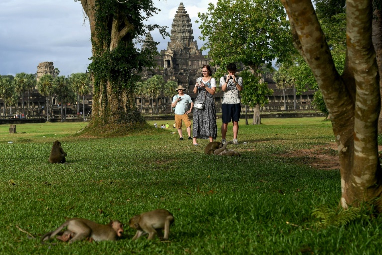 YouTubers causing monkeys to attack tourists at Cambodia's Angkor Wat