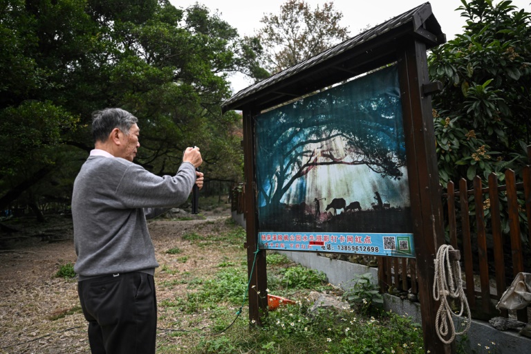 Viral Chinese tourist spot stokes nostalgia with staged rural scenes