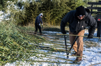 The Smithsonian's National Zoo new pandas add to the already high demands at the bamboo farm