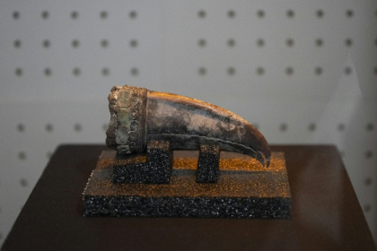 An ancient artifact found in a recently discovered burial site at the Aspero archaeological complex, belonging to the Caral civilization, during a press presentation at the Ministry of Culture in Lima on April 24, 2025 An ancient artifact found in a recently discovered burial site at the Aspero archaeological complex, belonging to the Caral civilization, during a press presentation at the Ministry of Culture in Lima on April 24, 2025
