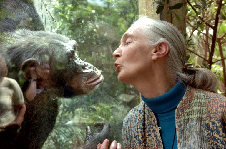 World-renowned chimpanzee expert Jane Goodall dies at 91 World-renowned chimpanzee expert Jane Goodall dies at 91