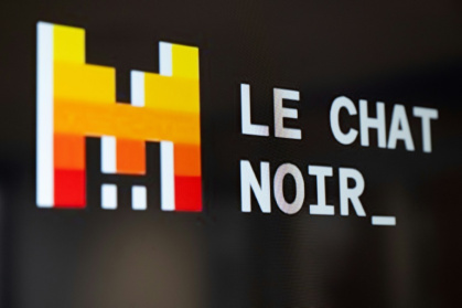 Mistral produce a chatbot named Le Chat, the French word for cat - BERTRAND GUAY (AFP) Mistral produce a chatbot named Le Chat, the French word for cat - BERTRAND GUAY (AFP)
