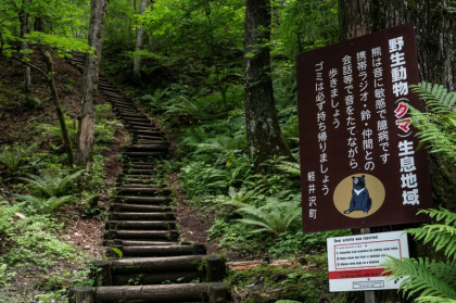 A sign warning hikers about bears at Shiraito Falls, north of the resort town of Karuizawa, Nagano prefecture - Richard A. Brooks (AFP) A sign warning hikers about bears at Shiraito Falls, north of the resort town of Karuizawa, Nagano prefecture - Richard A. Brooks (AFP)